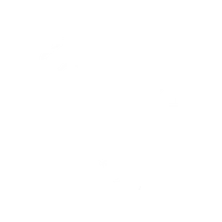 Logo klienta Tokajský dvor