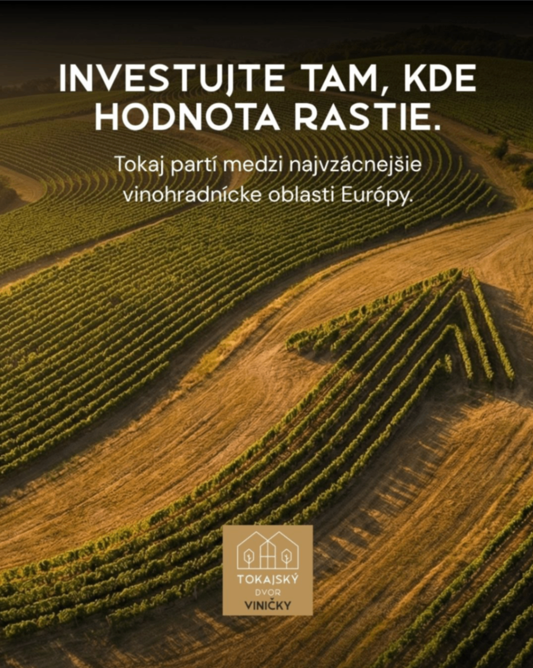 Náhľad kampane 1