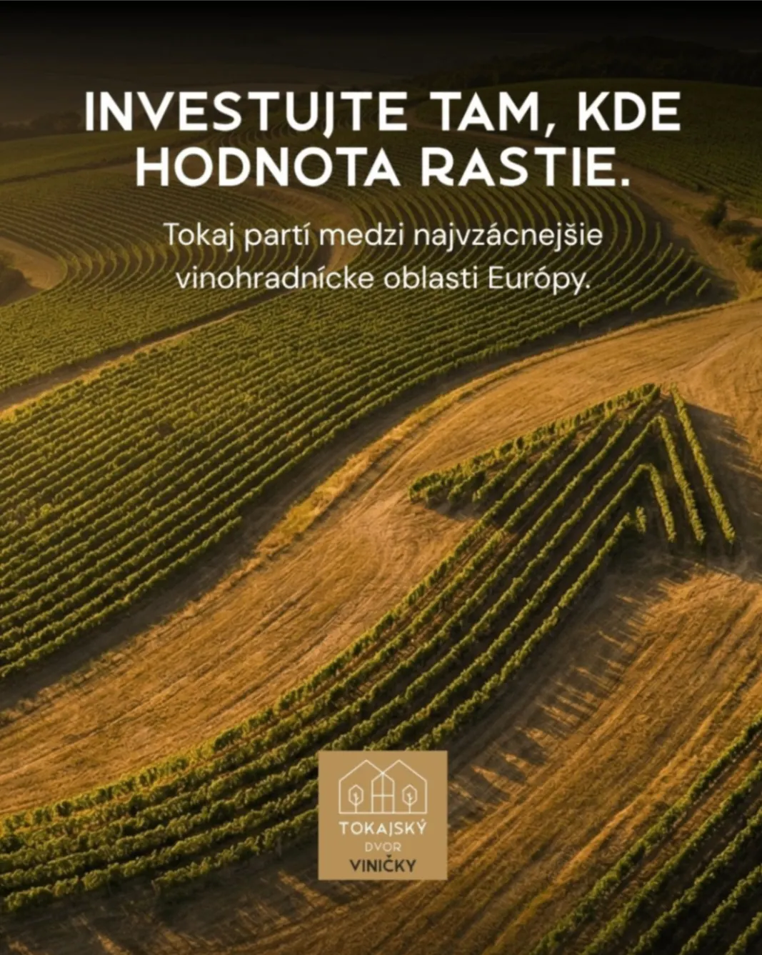 Náhľad kampane 1